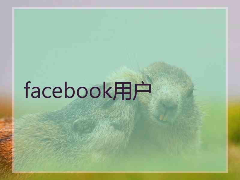 facebook用户