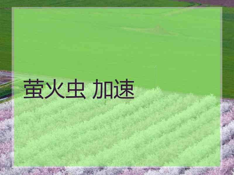 萤火虫 加速