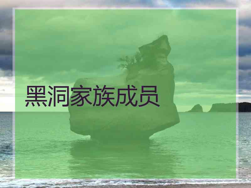 黑洞家族成员