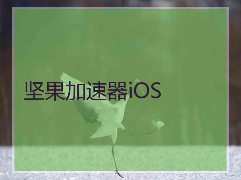 坚果加速器iOS