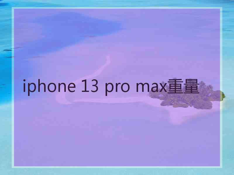 iphone 13 pro max重量