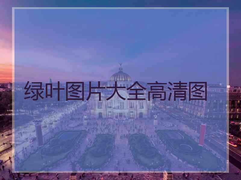 绿叶图片大全高清图