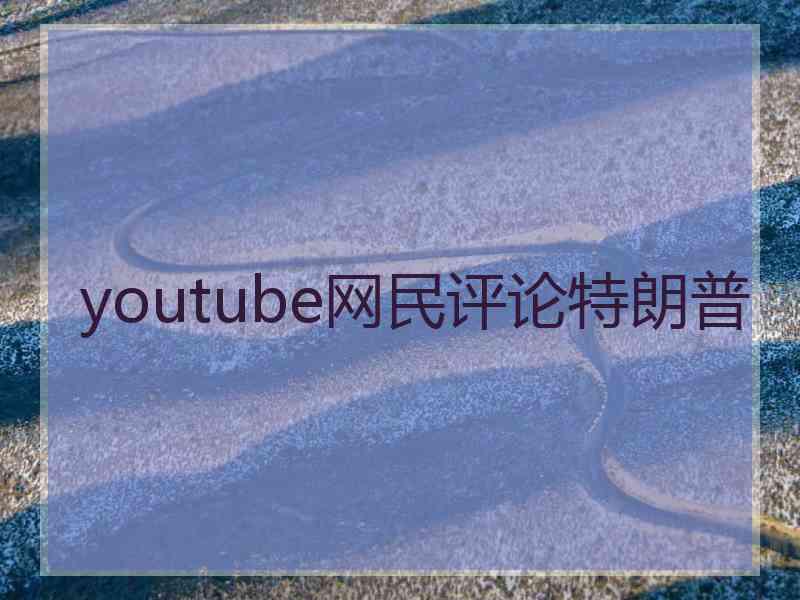 youtube网民评论特朗普