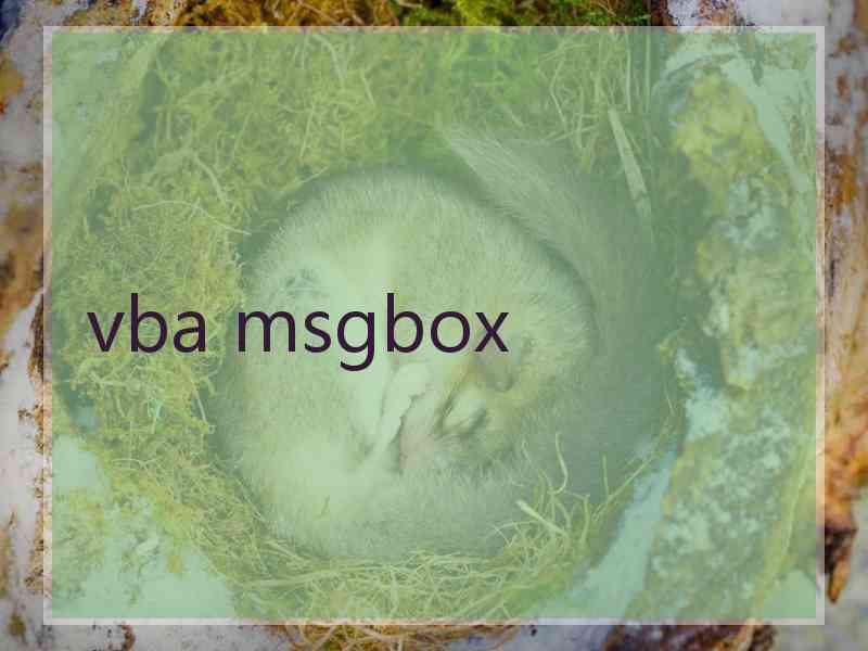 vba msgbox