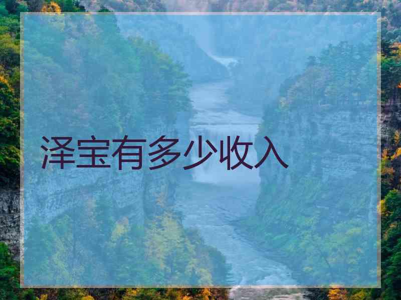 泽宝有多少收入