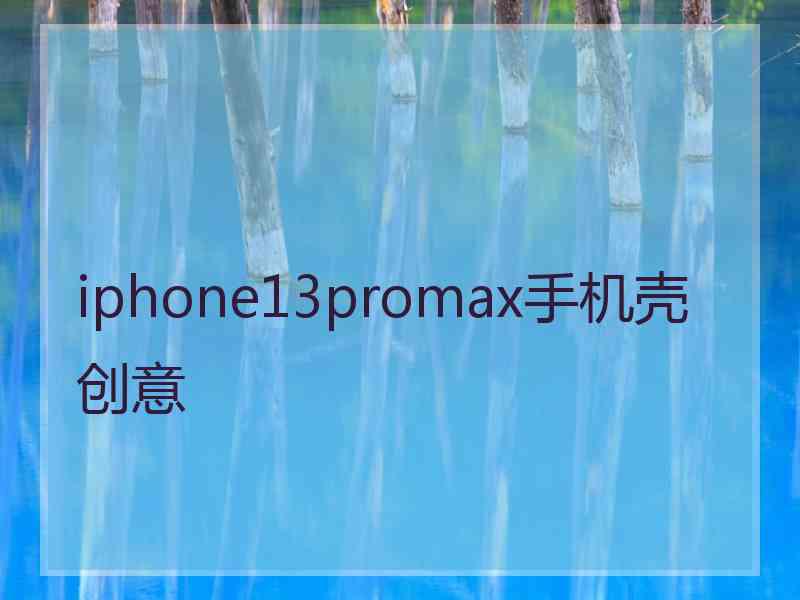 iphone13promax手机壳创意