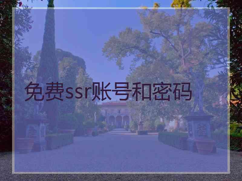 免费ssr账号和密码