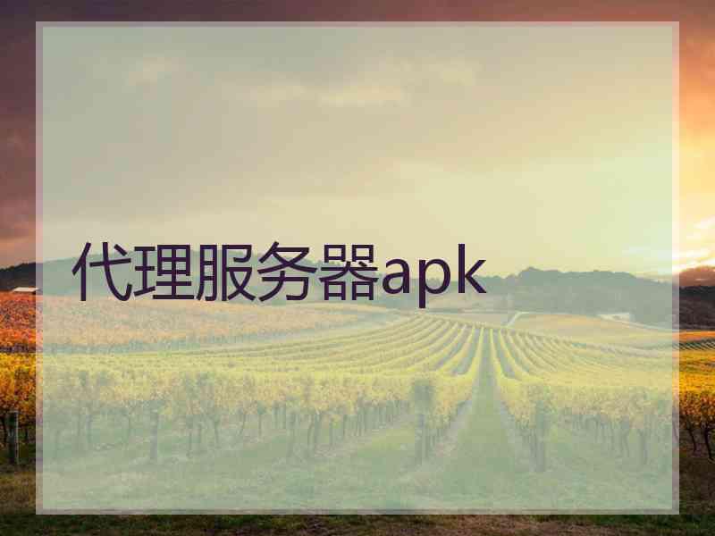 代理服务器apk