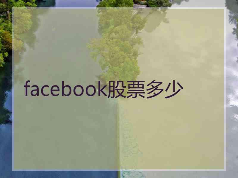 facebook股票多少