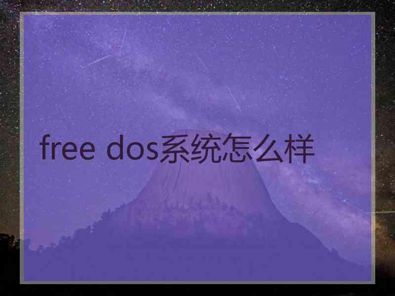 free dos系统怎么样