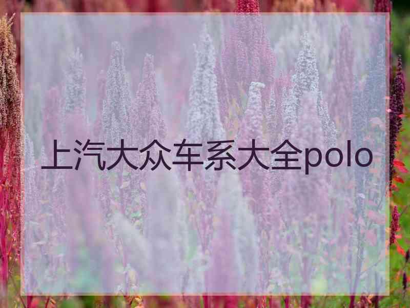 上汽大众车系大全polo