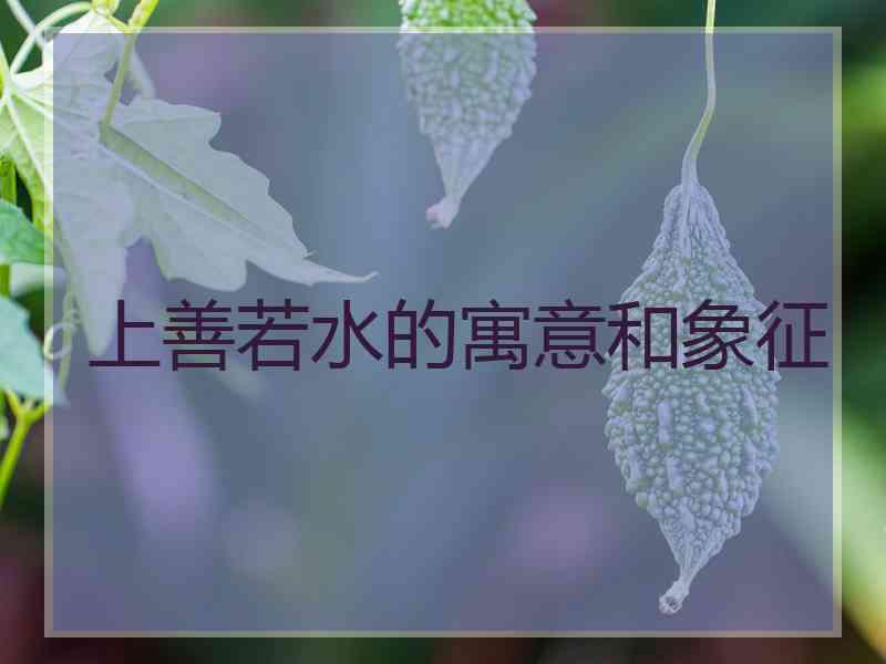 上善若水的寓意和象征