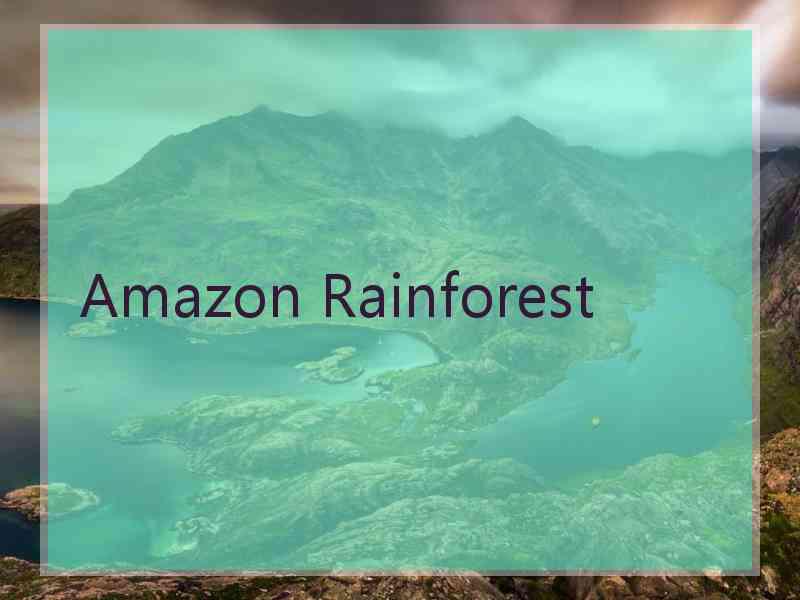 Amazon Rainforest