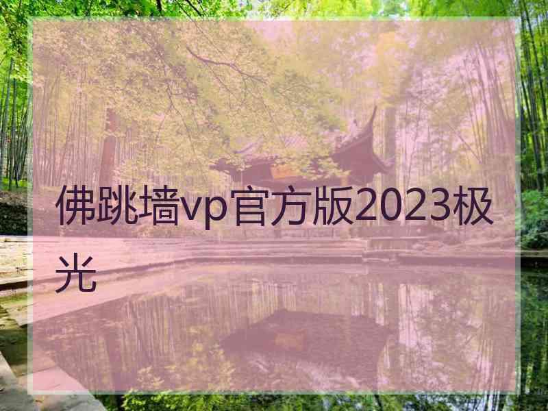 佛跳墙vp官方版2023极光