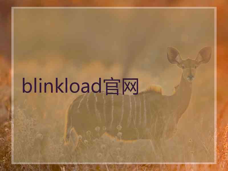 blinkload官网