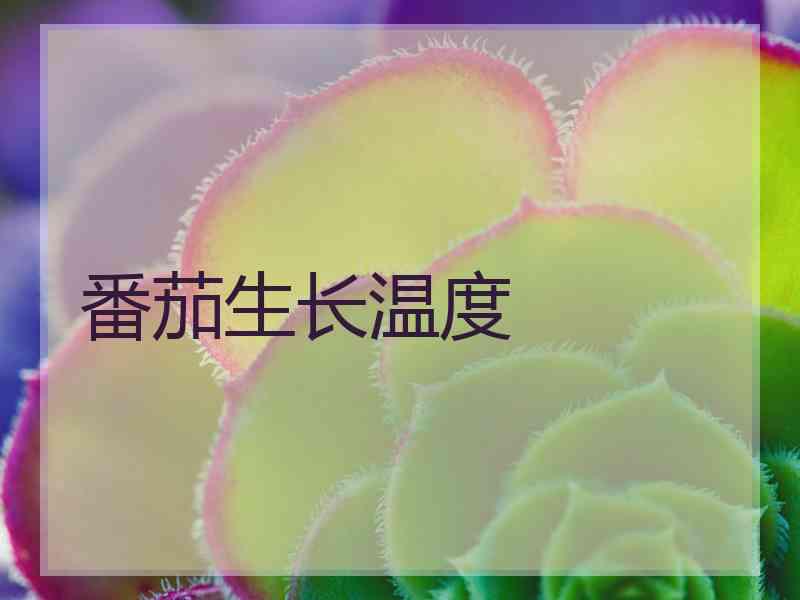 番茄生长温度