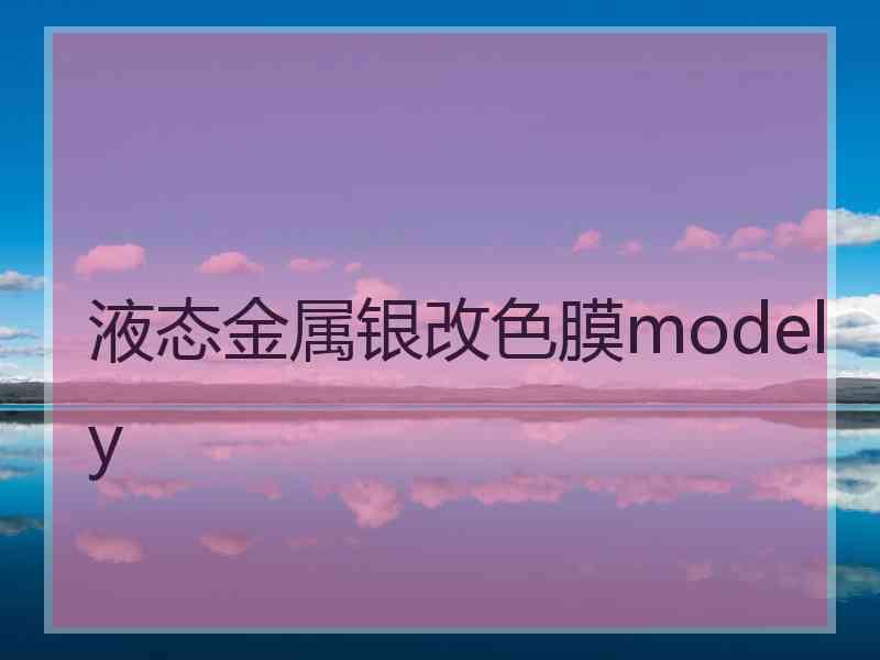 液态金属银改色膜modely