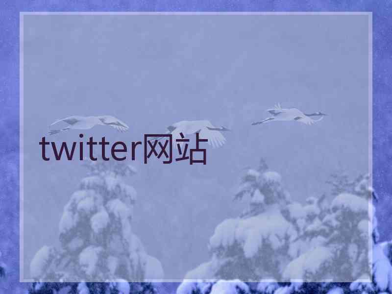 twitter网站