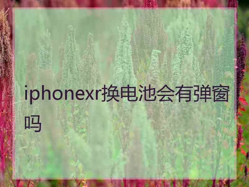 iphonexr换电池会有弹窗吗