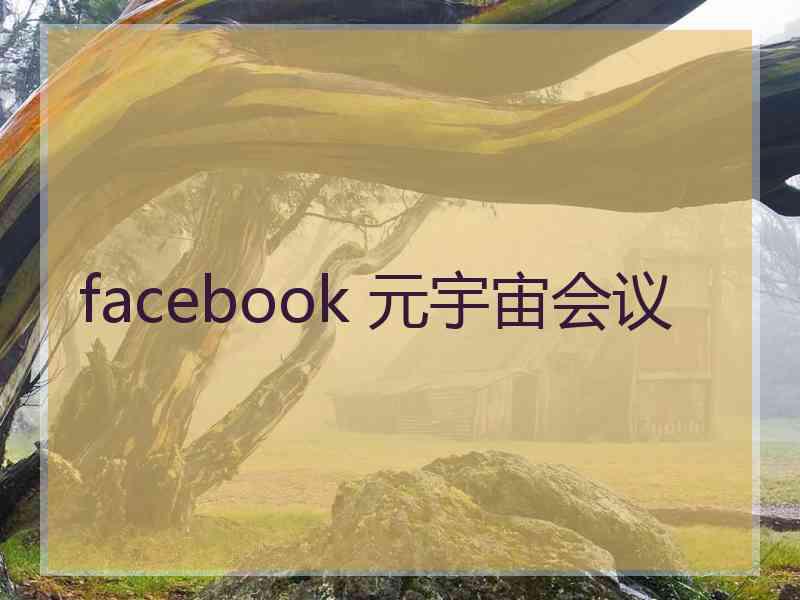 facebook 元宇宙会议