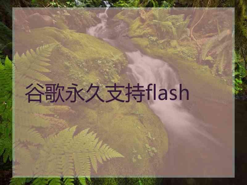 谷歌永久支持flash