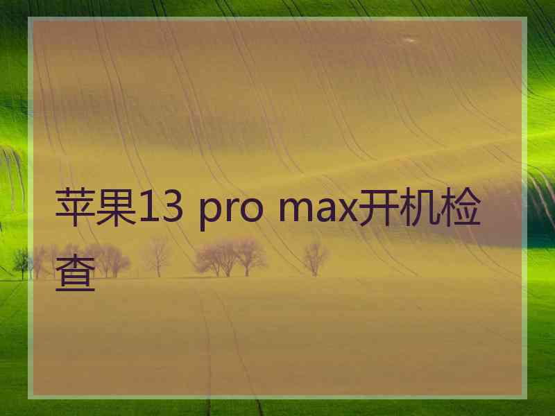 苹果13 pro max开机检查