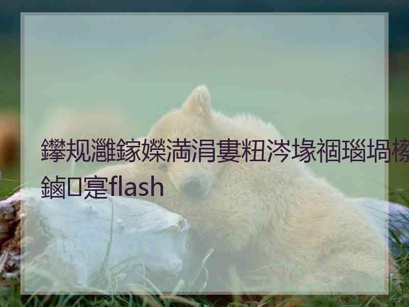 鑻规灉鎵嬫満涓婁粈涔堟祻瑙堝櫒鏀寔flash