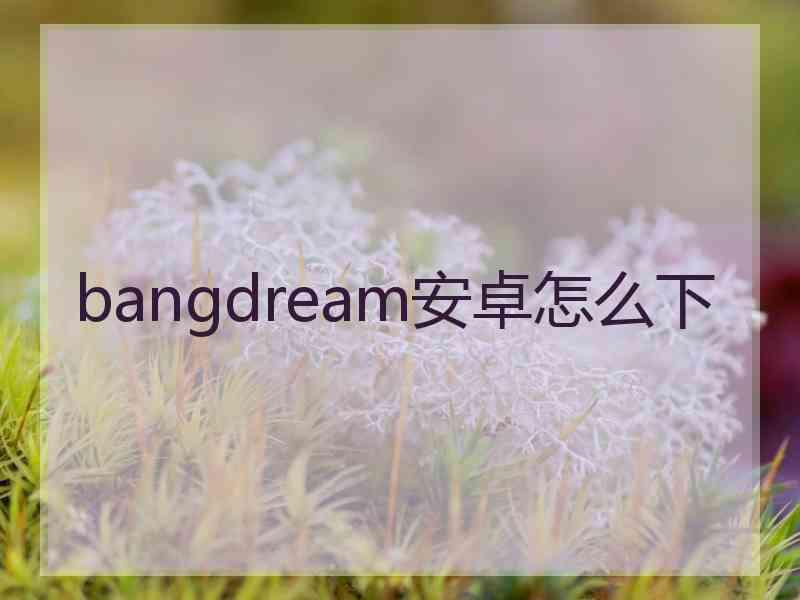 bangdream安卓怎么下