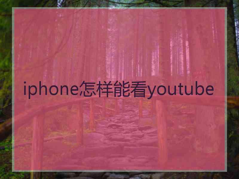 iphone怎样能看youtube