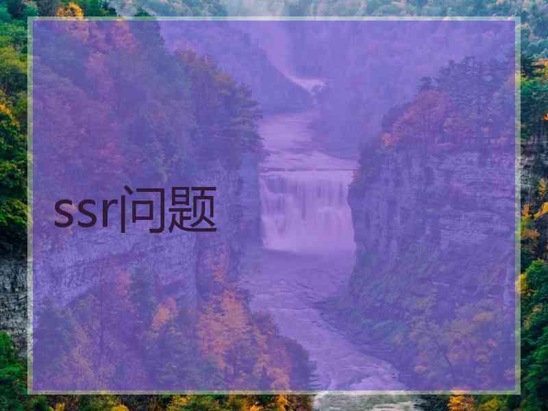 ssr问题