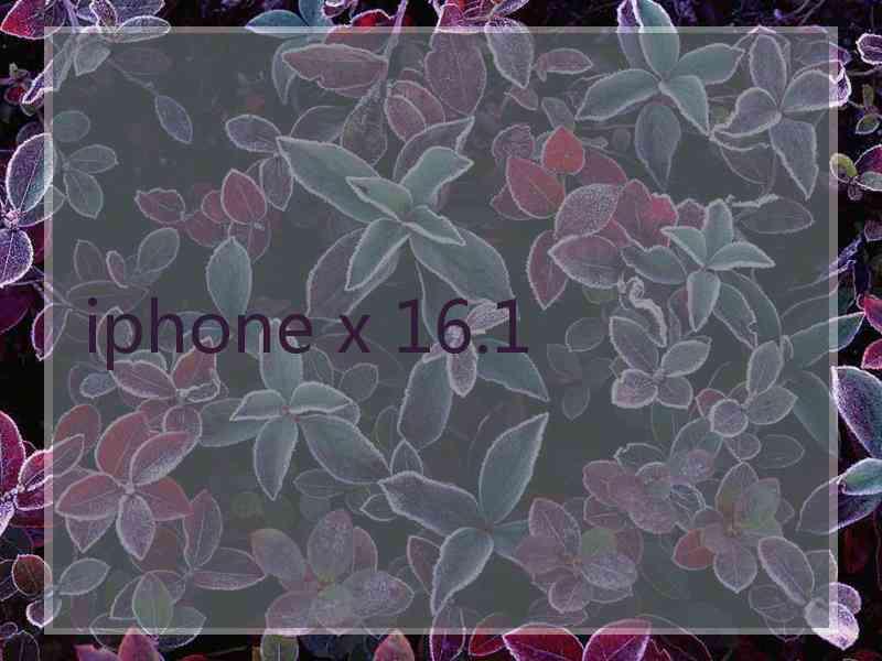 iphone x 16.1