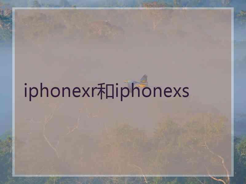 iphonexr和iphonexs