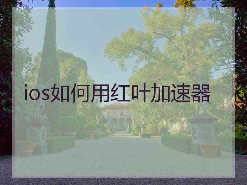 ios如何用红叶加速器