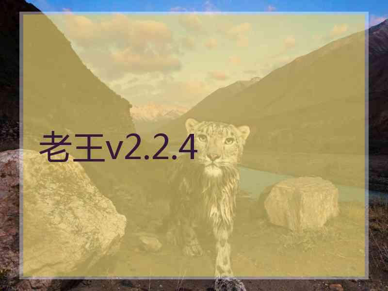 老王v2.2.4