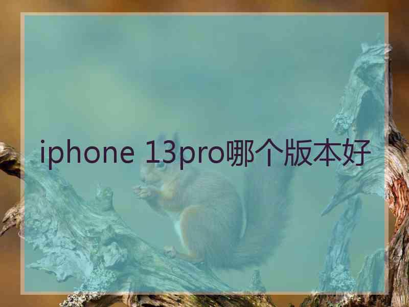 iphone 13pro哪个版本好