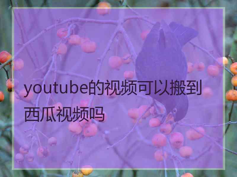 youtube的视频可以搬到西瓜视频吗