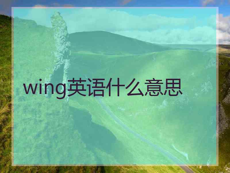 wing英语什么意思