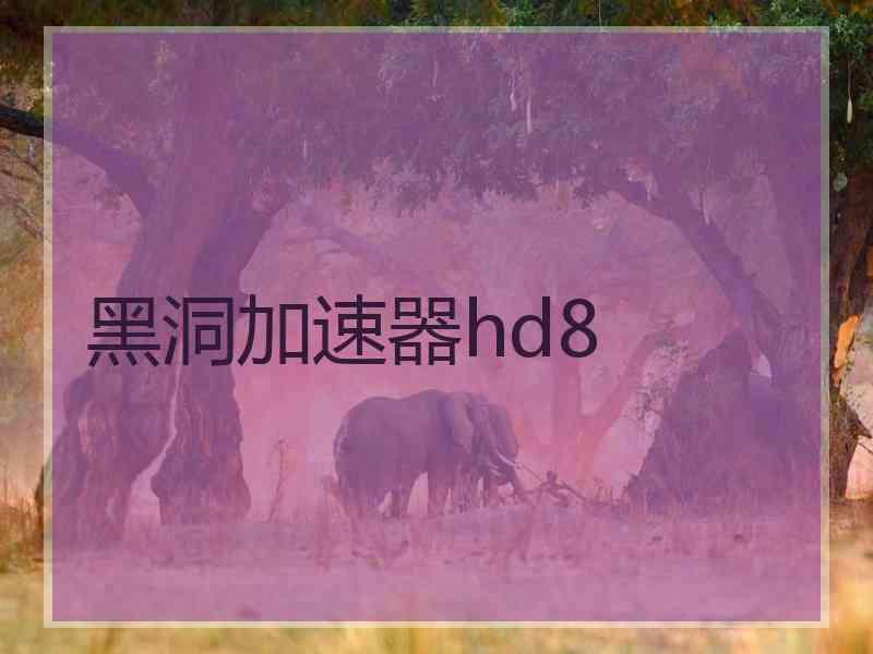 黑洞加速器hd8