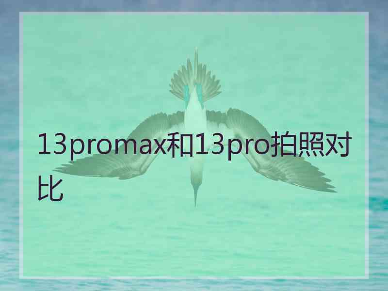 13promax和13pro拍照对比