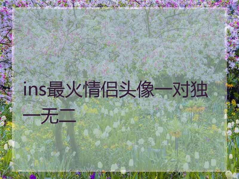 ins最火情侣头像一对独一无二