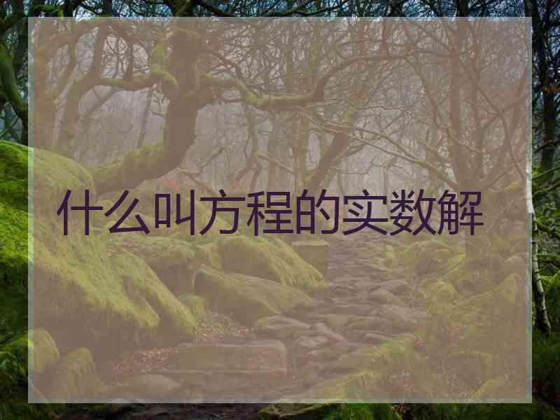 什么叫方程的实数解