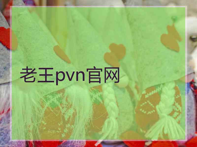 老王pvn官网