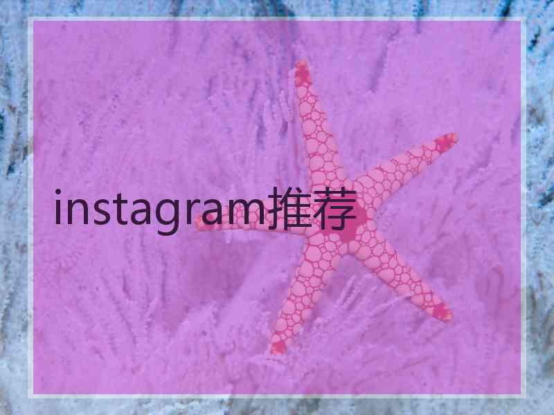 instagram推荐