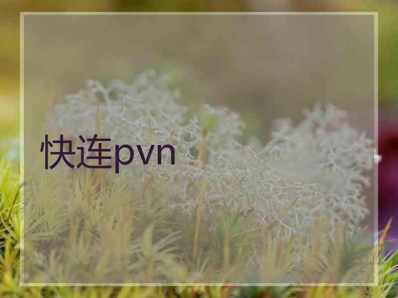 快连pvn