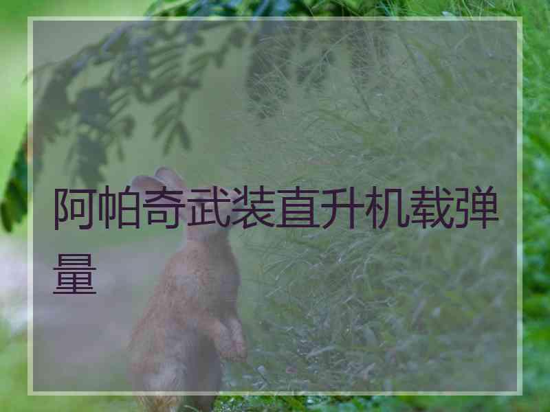 阿帕奇武装直升机载弹量
