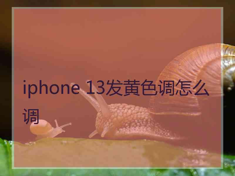 iphone 13发黄色调怎么调