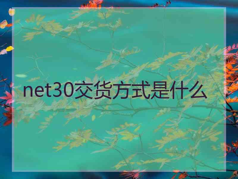 net30交货方式是什么