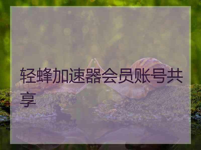 轻蜂加速器会员账号共享