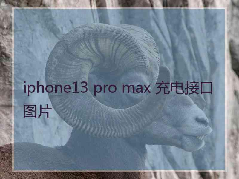 iphone13 pro max 充电接口图片