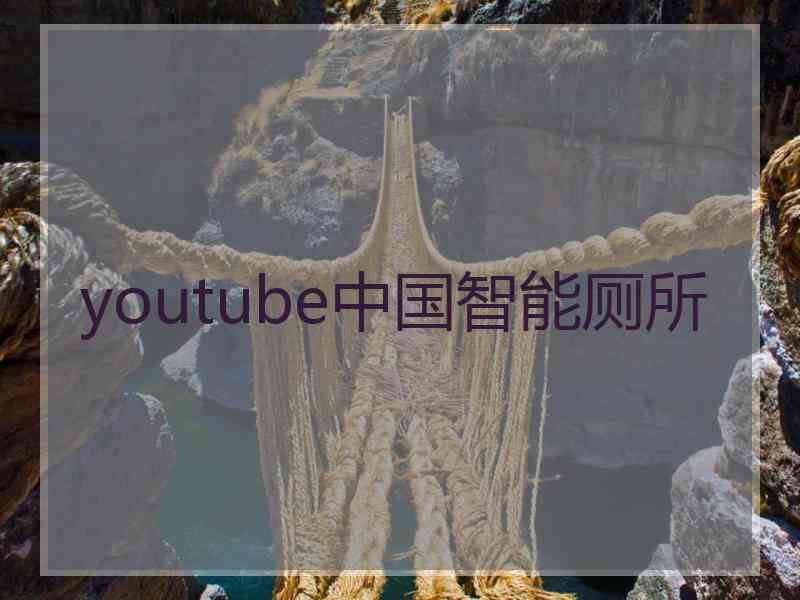 youtube中国智能厕所